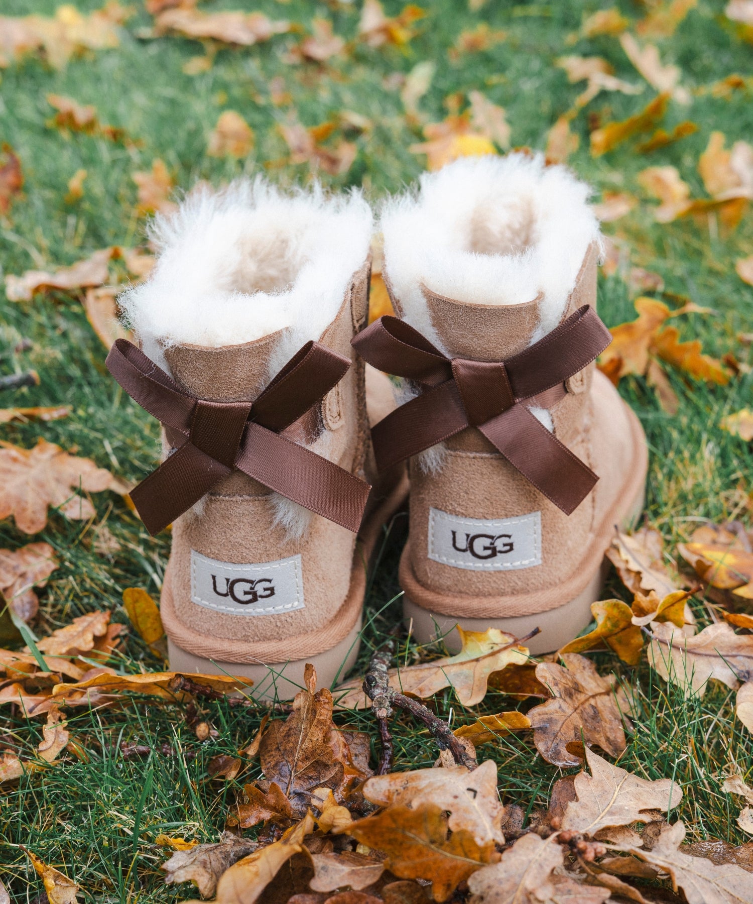 1hxbTwN8wPGkggonOi36xUYFXzXHhbXyQ