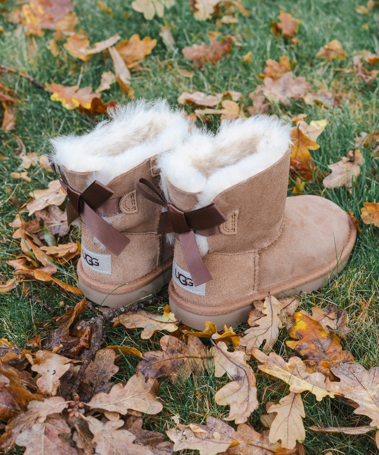 1ULFiPDycWu15i4uCtQMgKJtjrqndKAIL