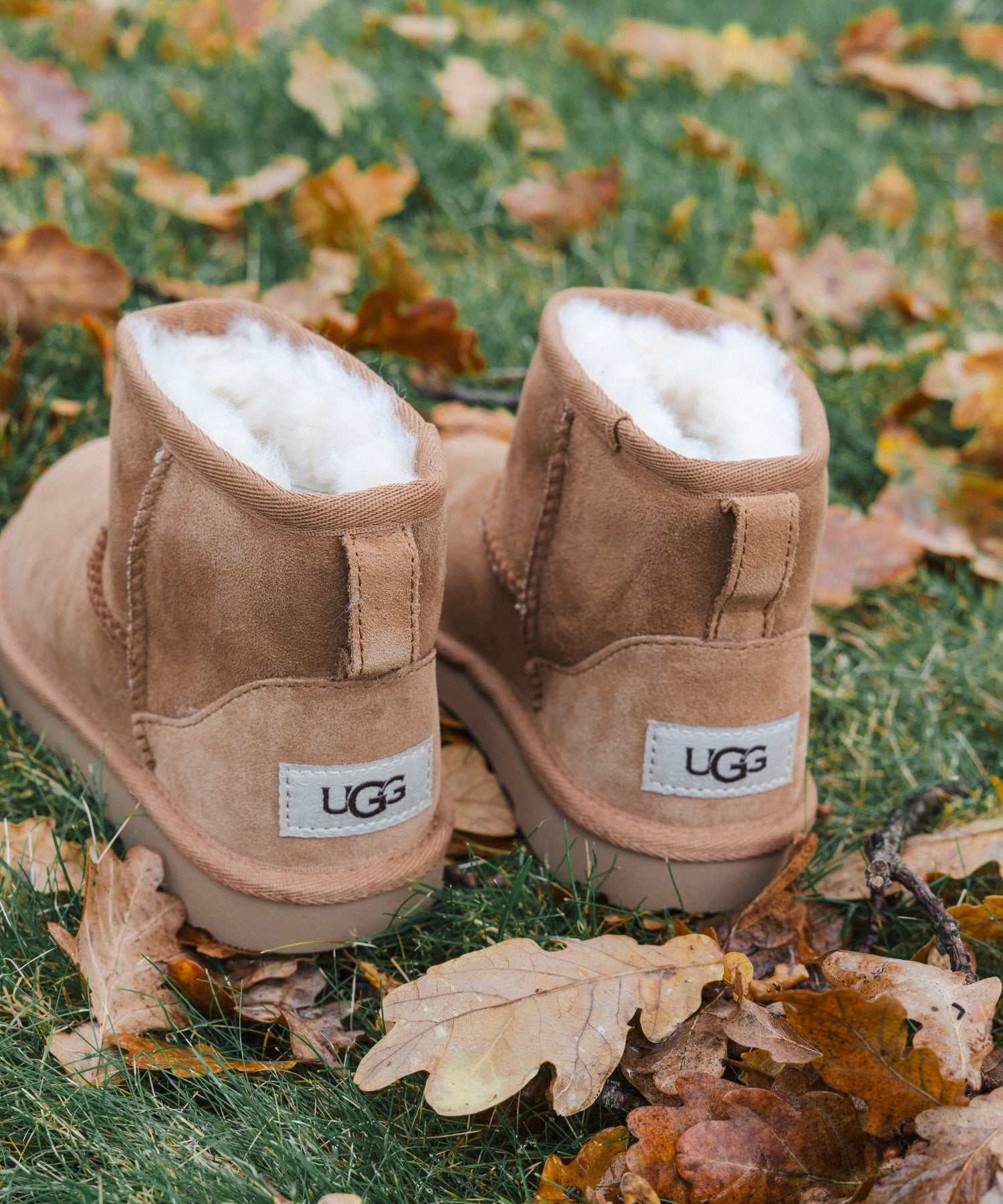 10Emd8lOqLnJP5wsRrFXjYS-nZUdo8kOD