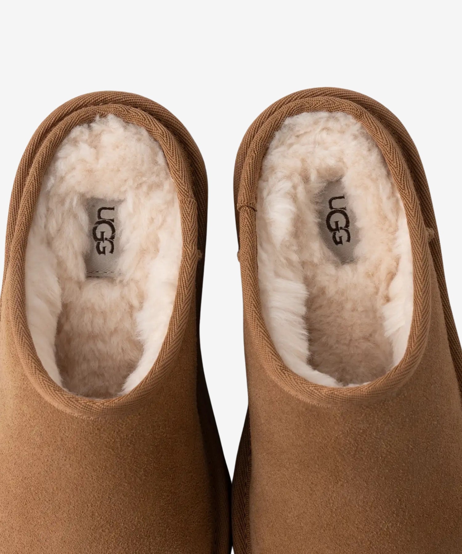 1pfdccb4HNHMTM7fz5UTF474CvkOSdy-u