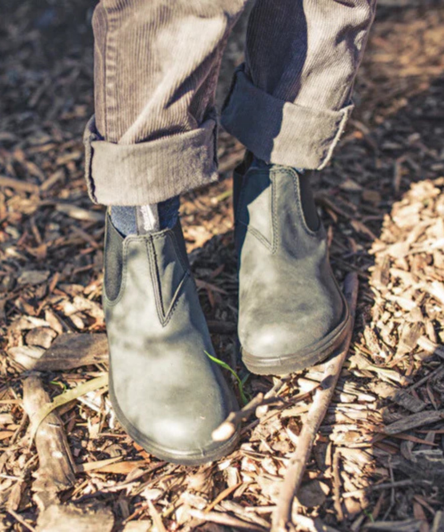 1WDAmXyMT_Na3KQ55gzkJCB3Rrc8FXuYv