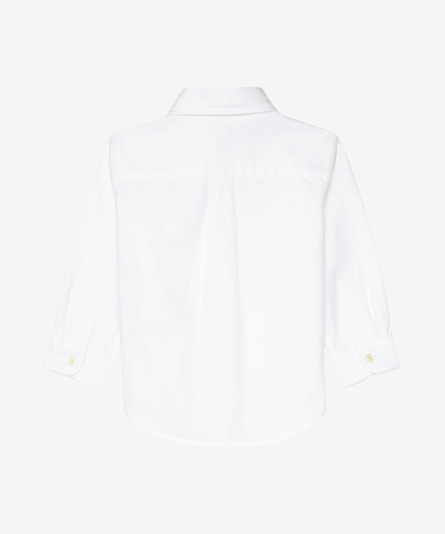 108_Ml9ovWoA8NXT2juwcH8NJ2sh79Mwg