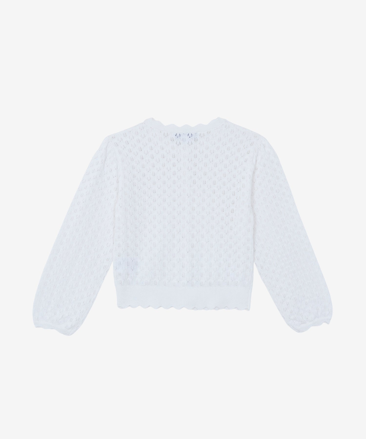 1YRVeMwMnsmLr3HbXHUv-KCUUtsd9cU6Y