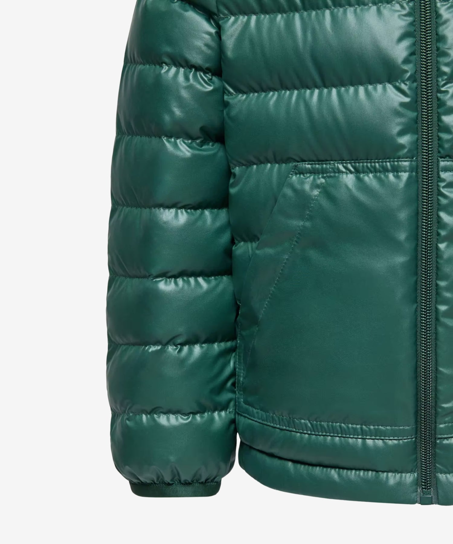 1425w0fpQYKbBXW84h8RiKcggApyoiGLW