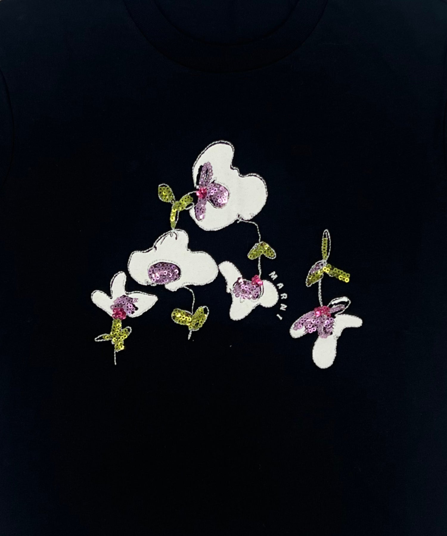 1hXDkKPeB0q0PMMrH2LkpQjwZ0MjJ8Aq2