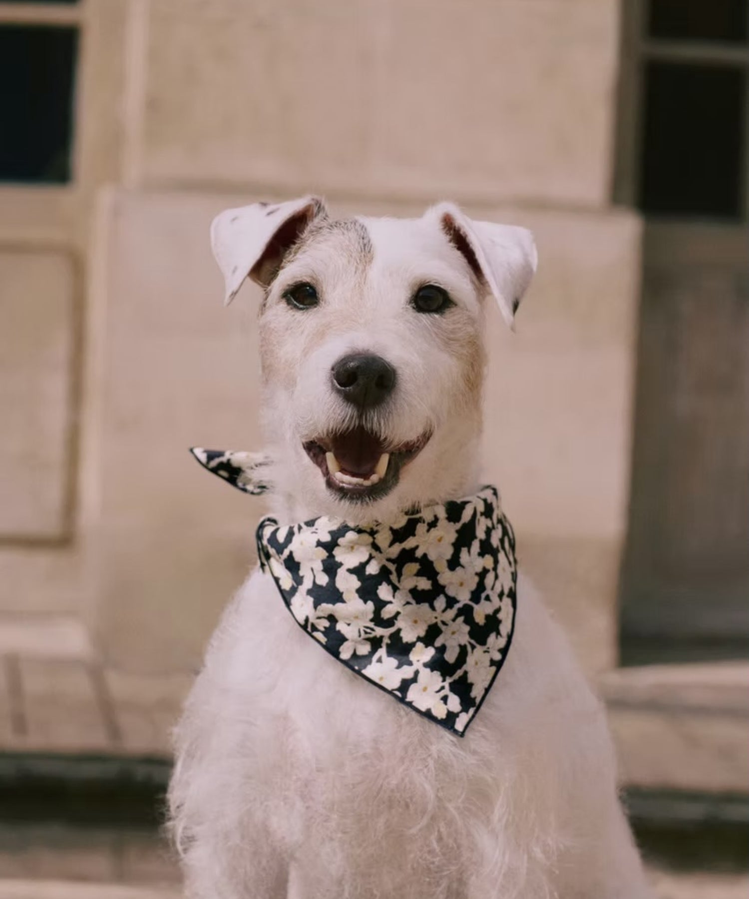 14VIt7FCZLkzQEKbKQRYob-SDmdVOvSyy