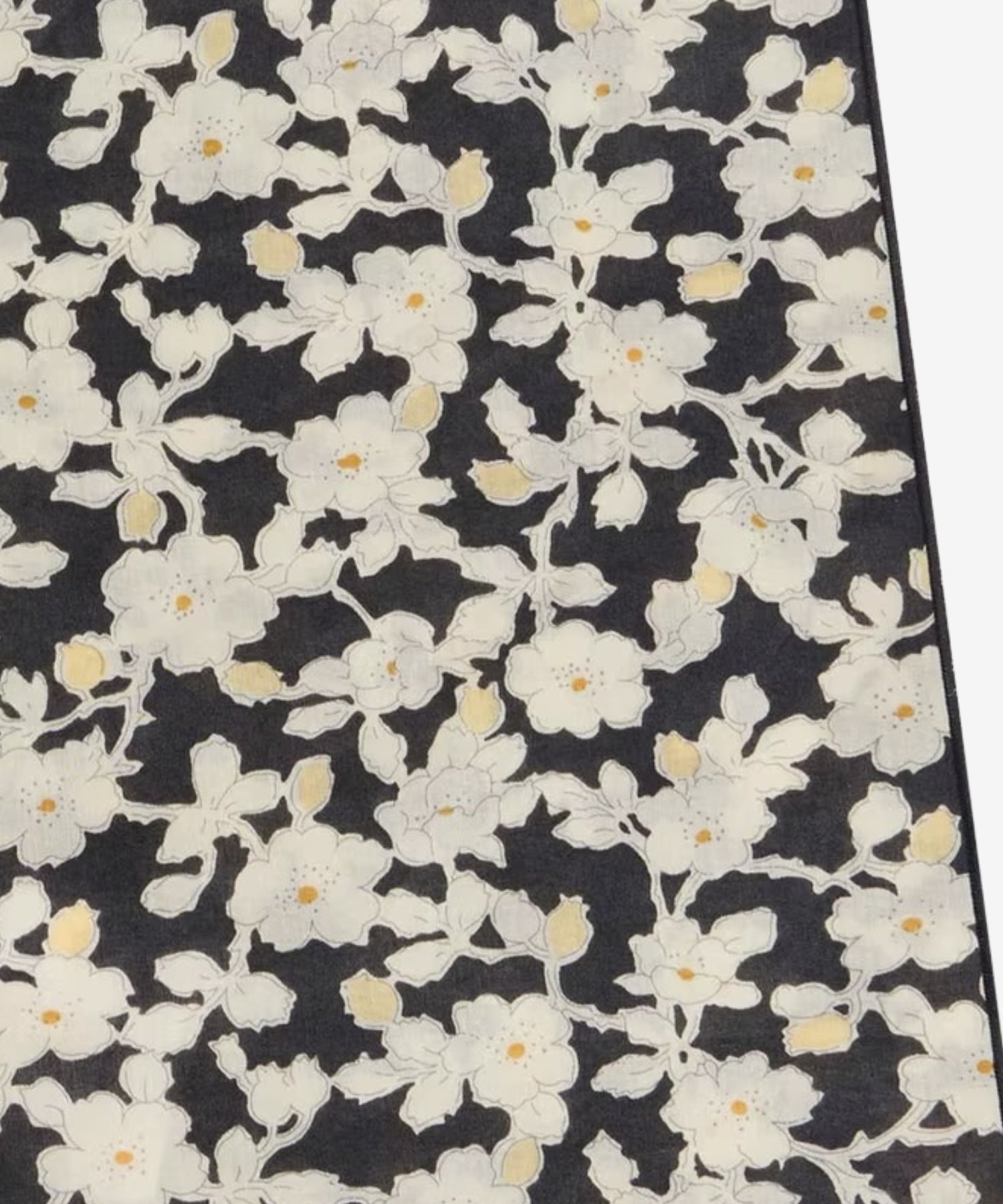 1DisOIoi1MASCtbQjmRfWjRpmUbw6Z9ye