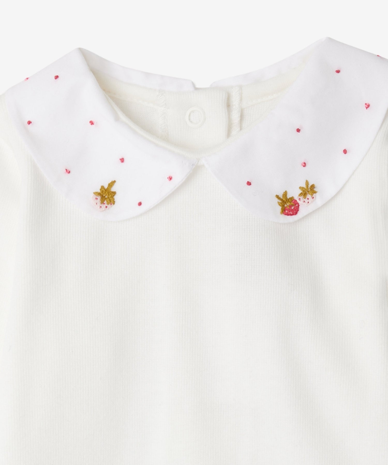 1kNwjHkM7uCXpZb8fe1Tz47vnlPy-bJ1J