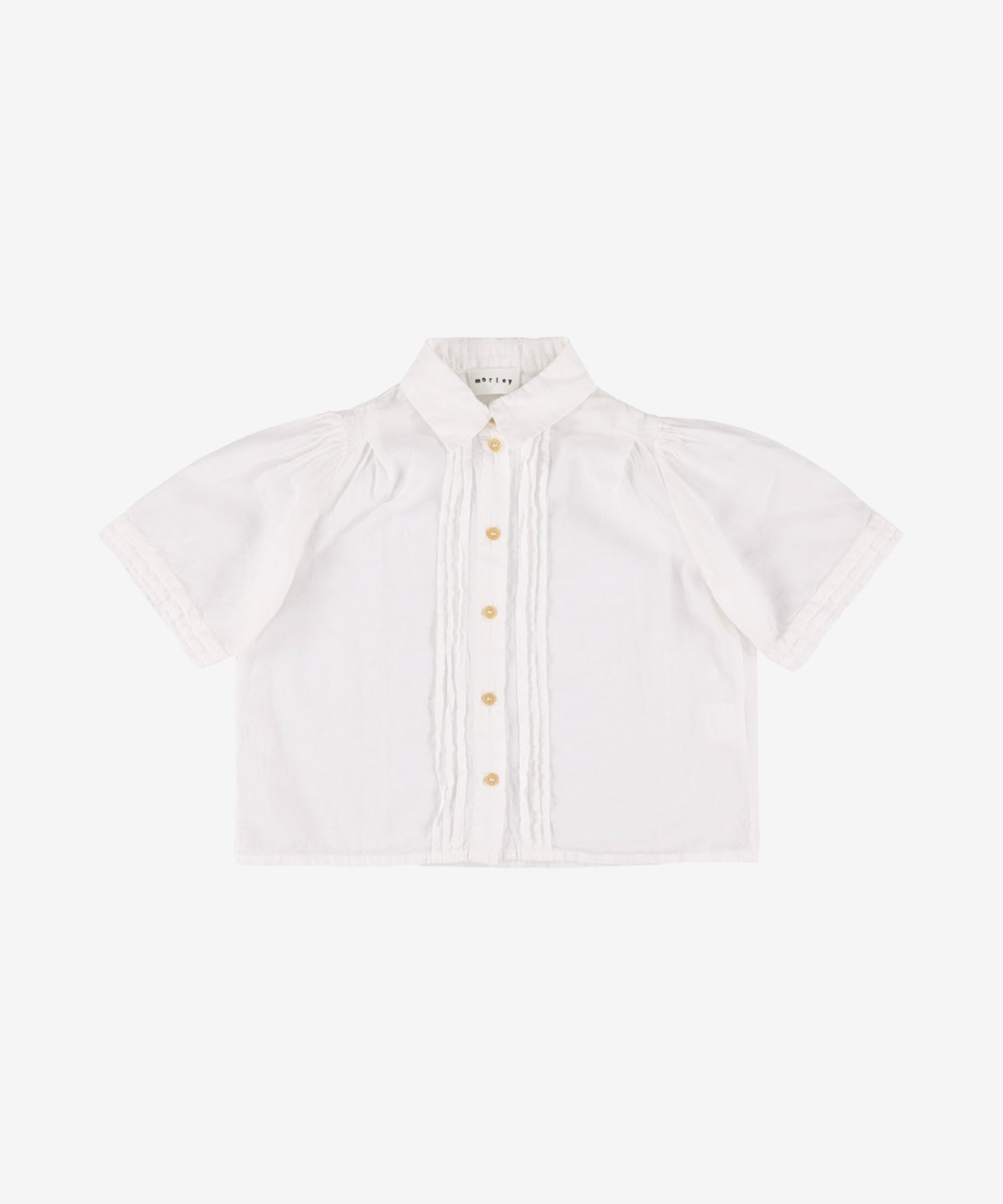 1MRL9CaBsTBjErbxamNX77iGuJSjNnKLj