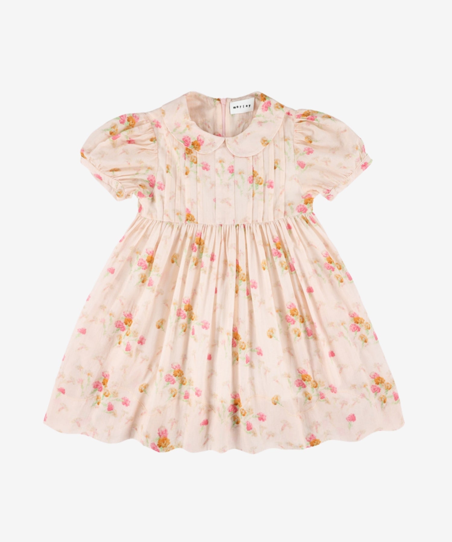 1KRzh9Jpwq12bwns7woBrdPRgzLsTNgjH