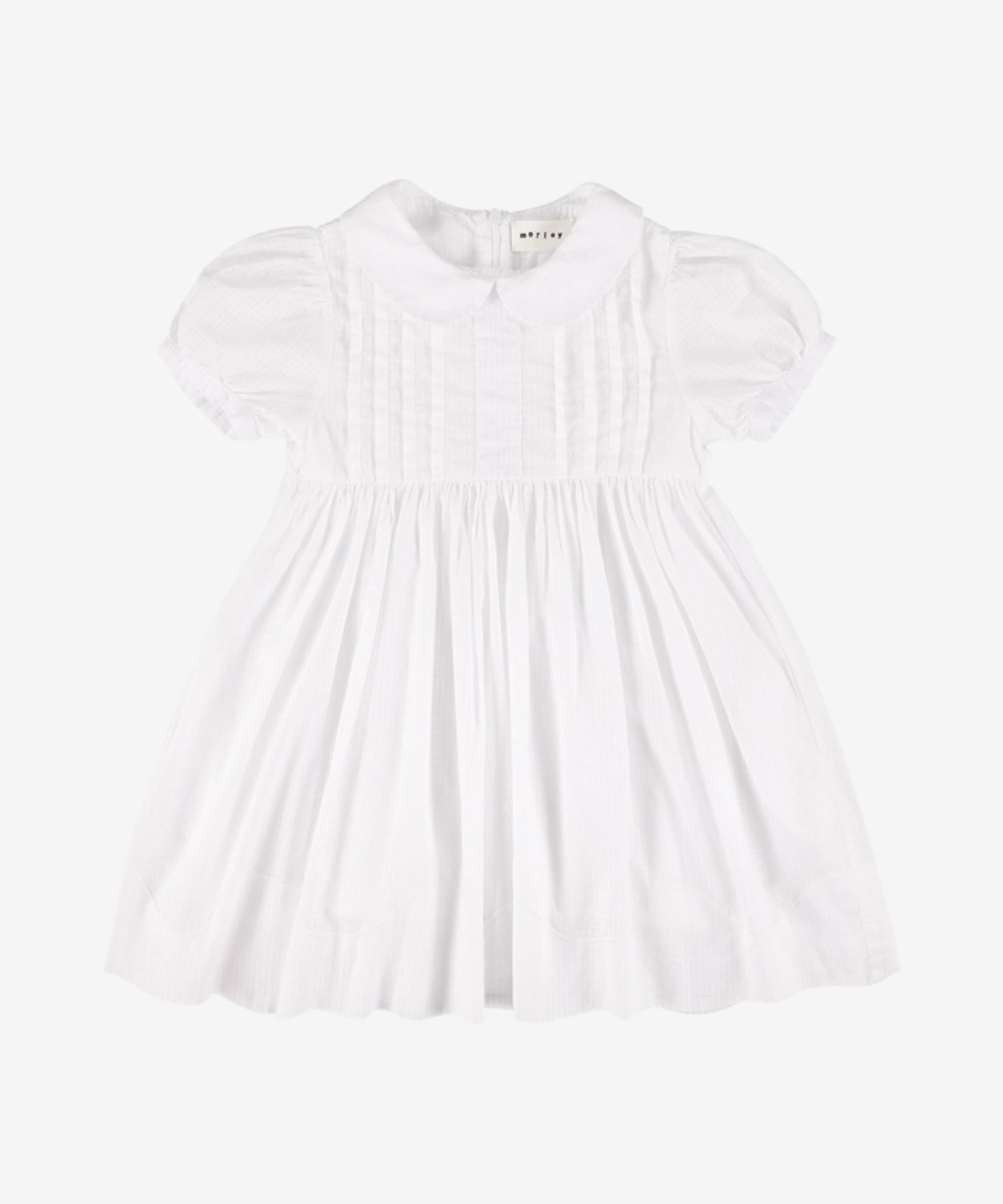 14wPdv1cxiLf2Uj6sTnGAJCbyq9g3MPXo