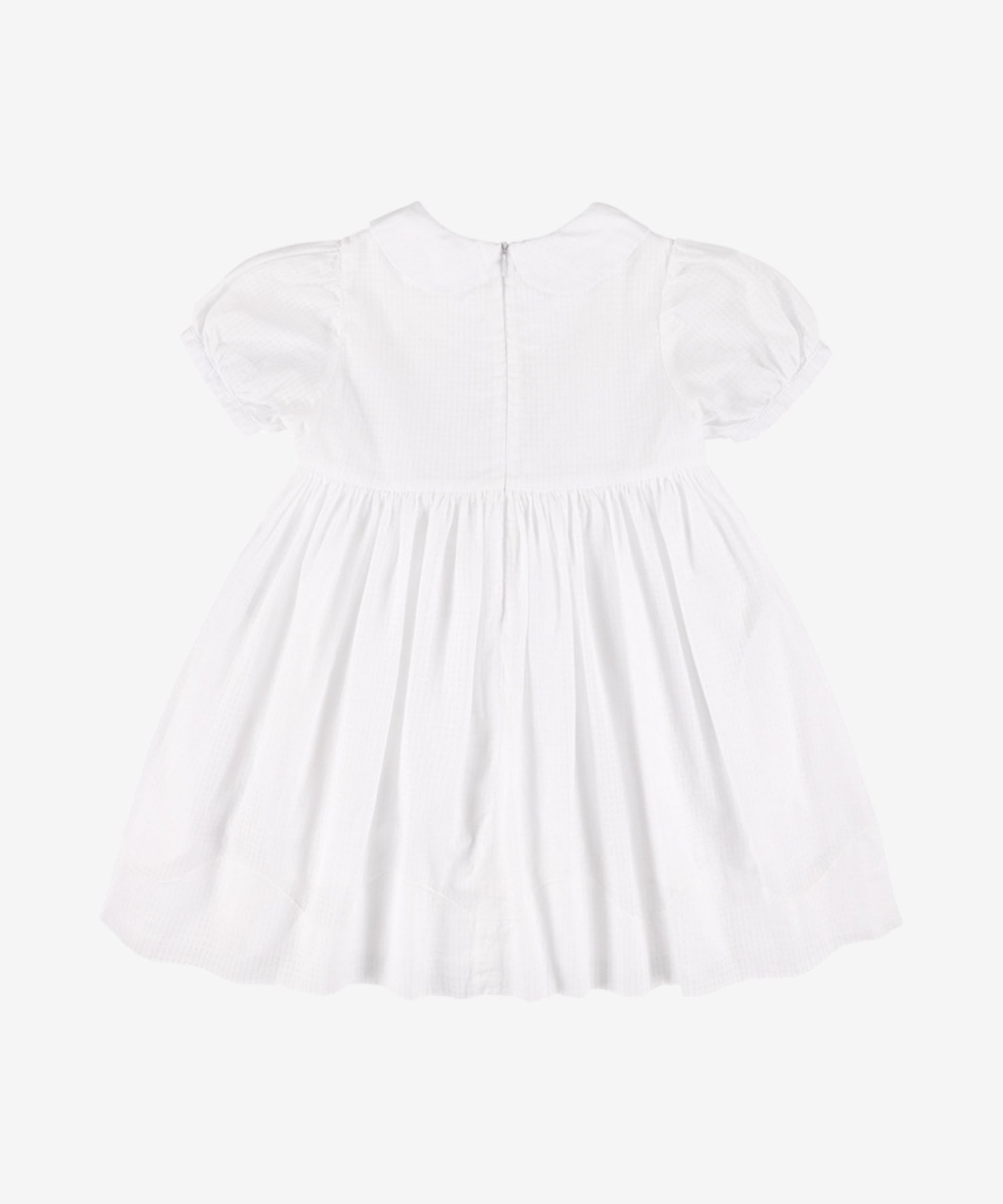 1Xawh1PMXbnbp6MCwdv9yr44tB5cRvO0T