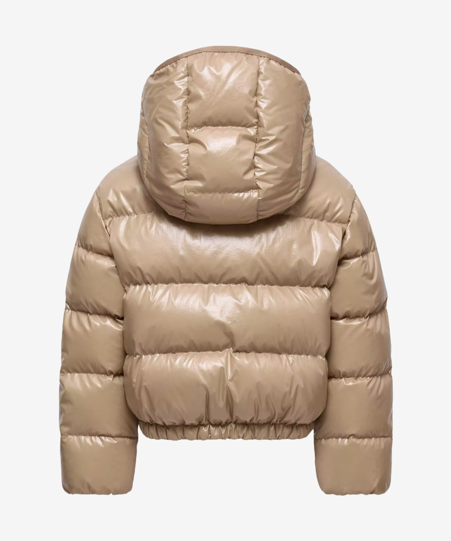 1GLjkL09u-zISerM4vns7PSGgywUqRcis