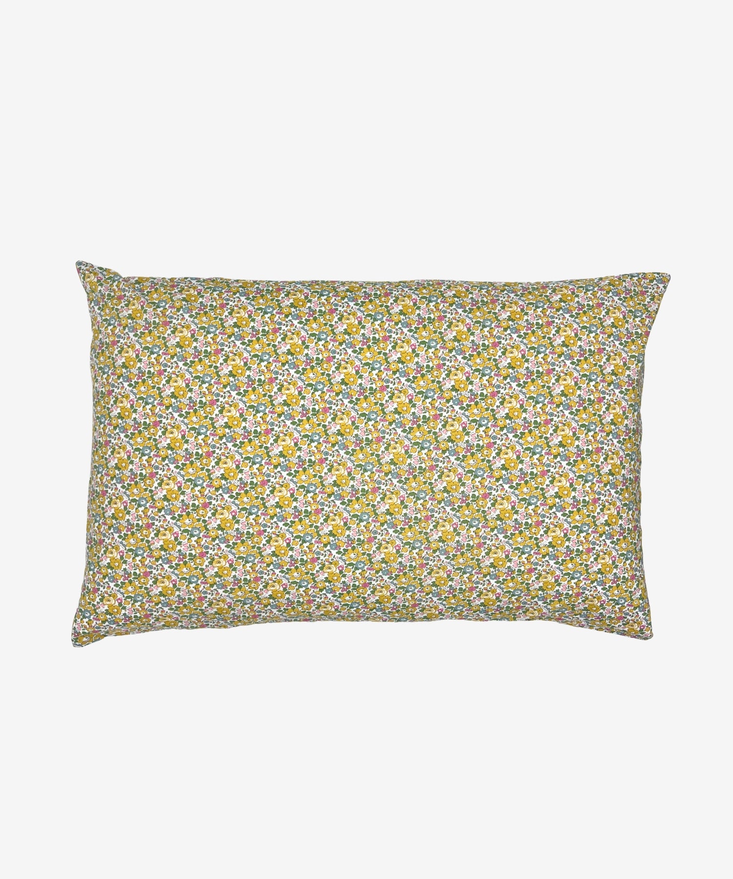 1qR2JBIufG1BMX2qYU8owUTx44zjEoYYh