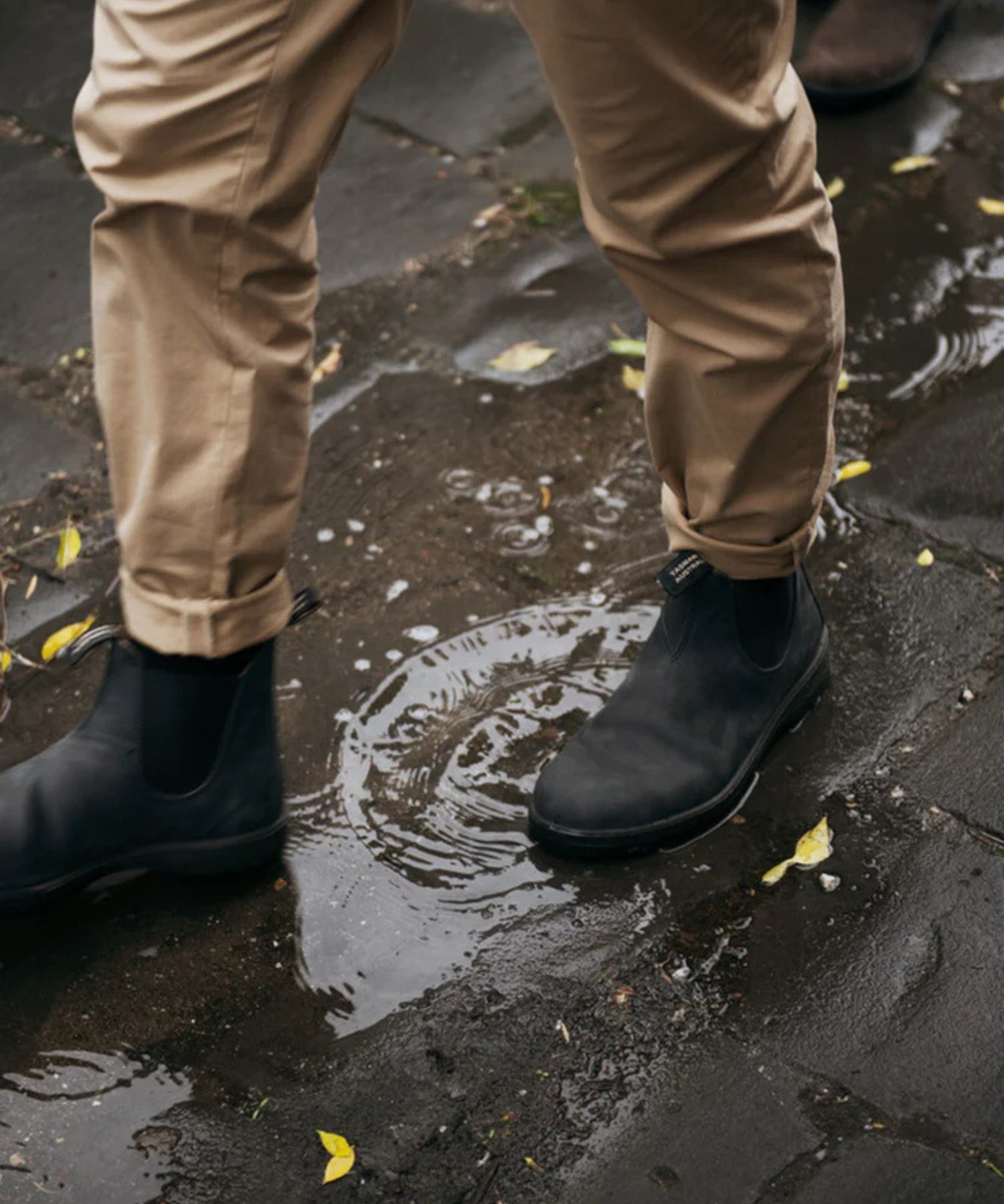 1-o3ZCevEW1u1eOXHPTh3tZUsi383_u_e