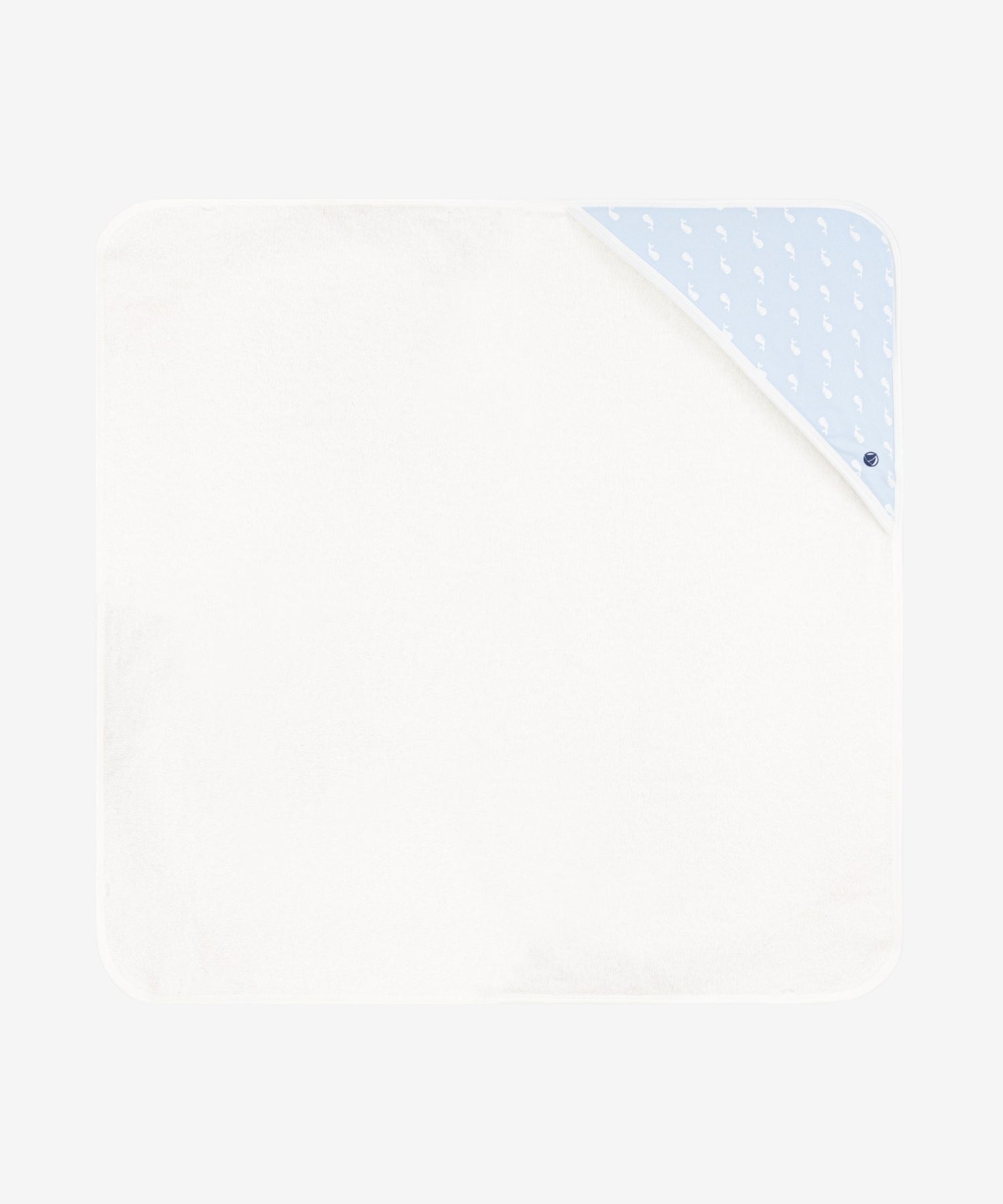 1dxwkIjlnRaudmsHk6_6yYYF_KUUxuefH