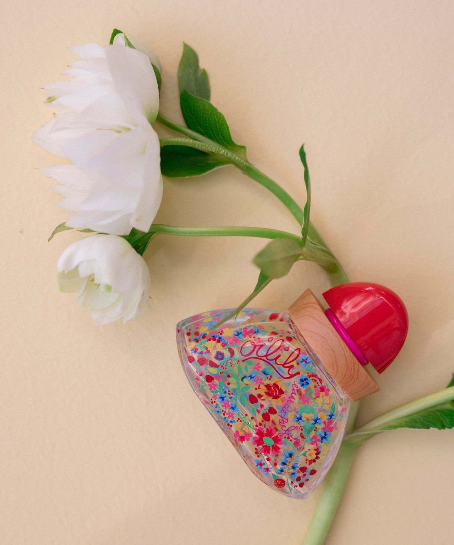 1iWXcFl0TaLdeqxM8wzj8dNVdibKSyzEQ