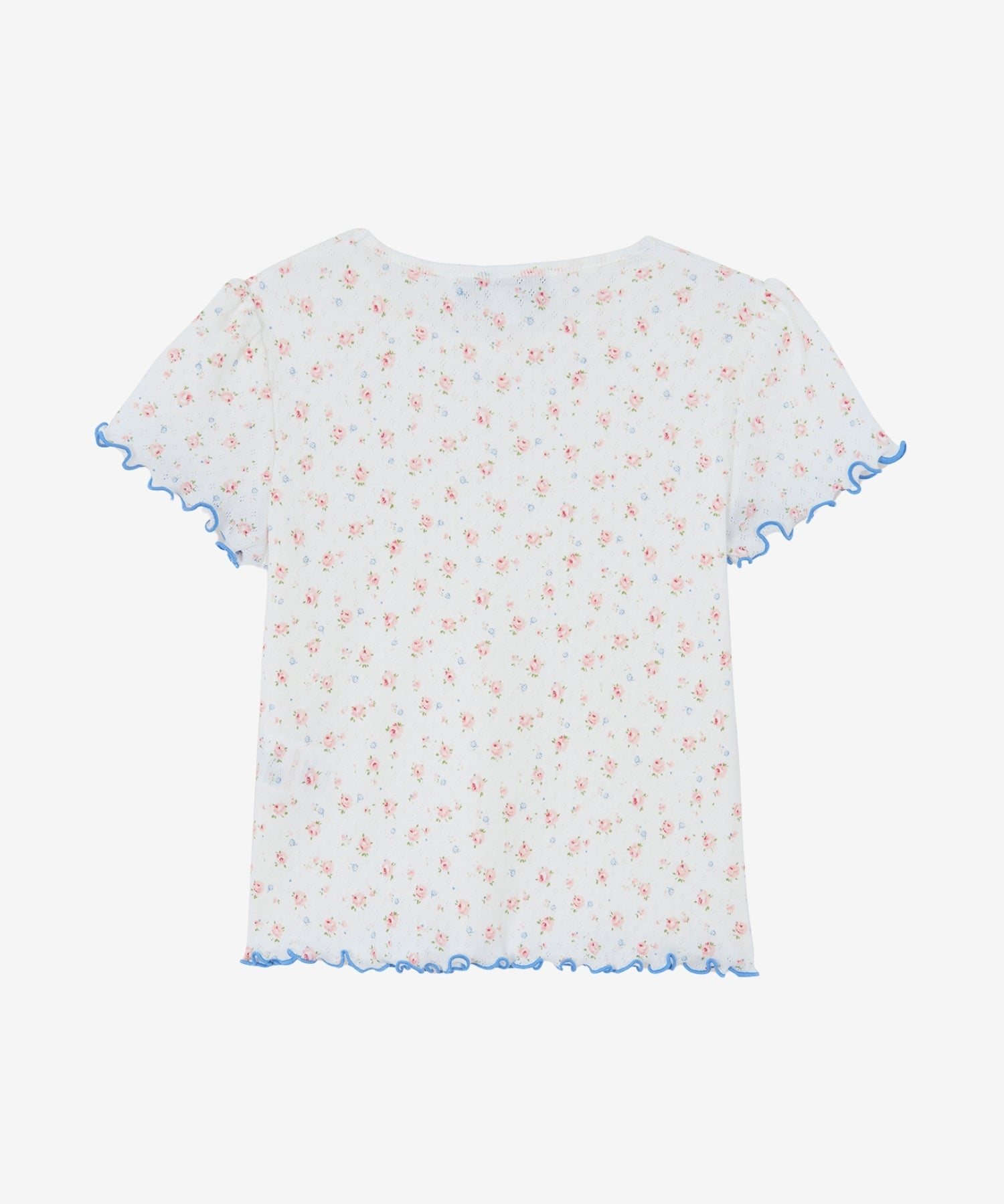 17P3cXXZjKE2Jkypfc5Wu4HNt194S5A_Y