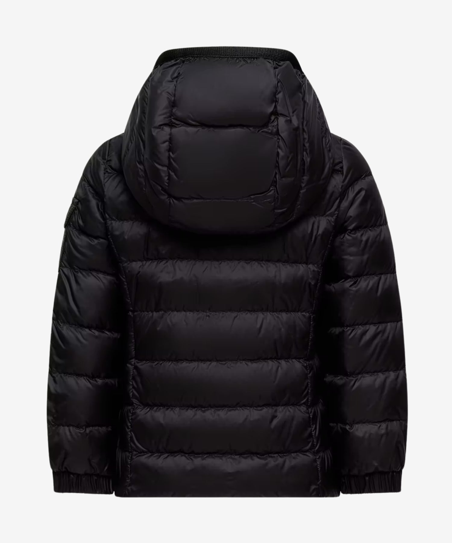 1bXDeEKjnpglRYKG94j7hF1ponmYaHVYJ