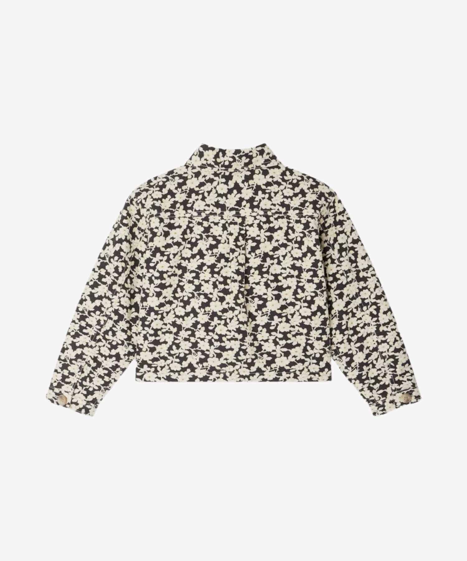 15AxjFC0Th1lVdkvqF5W7UEc3bkWK6szL