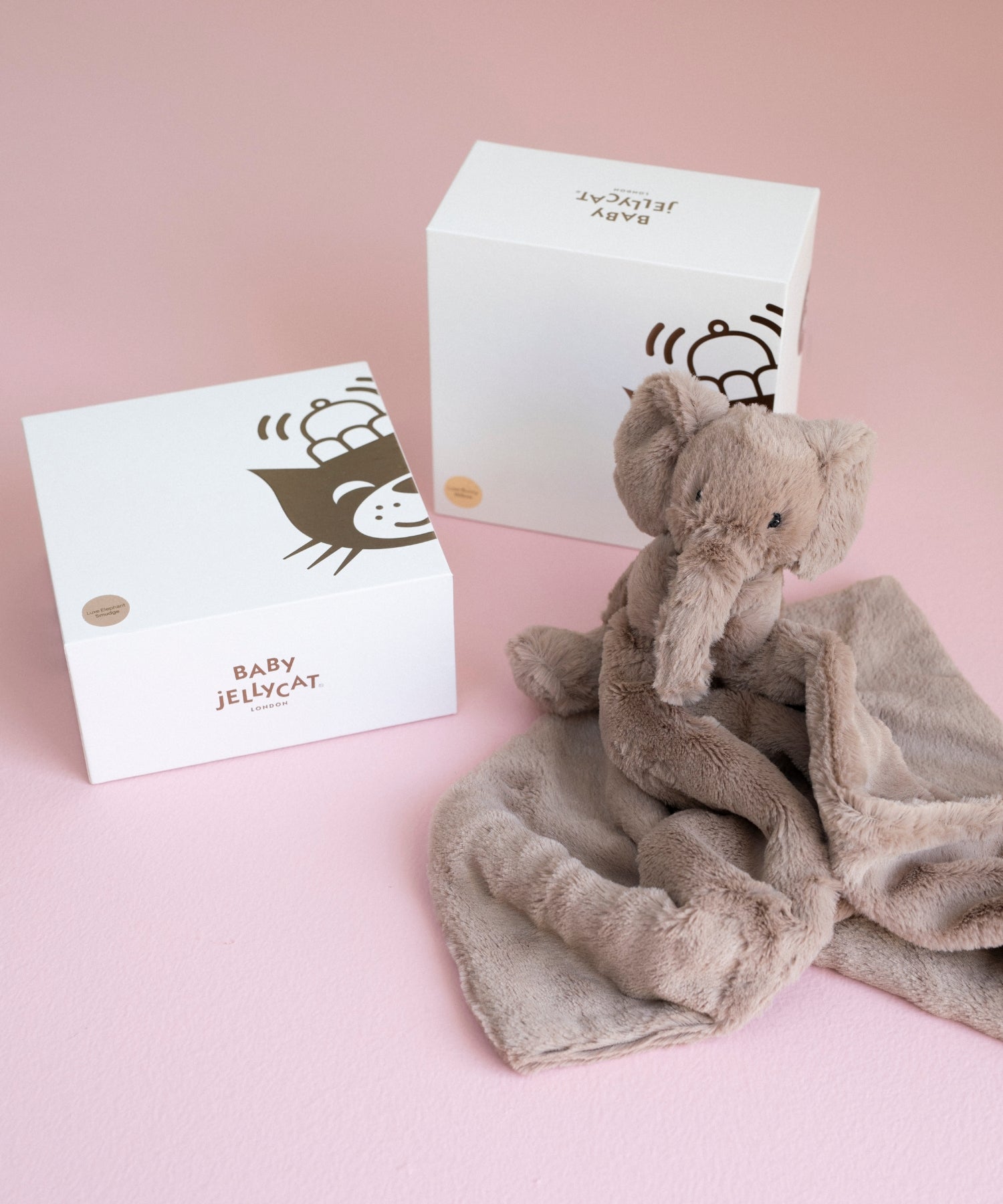 1YPwL5lspj7rXCpwL9asNJYFrtwzaSJaI