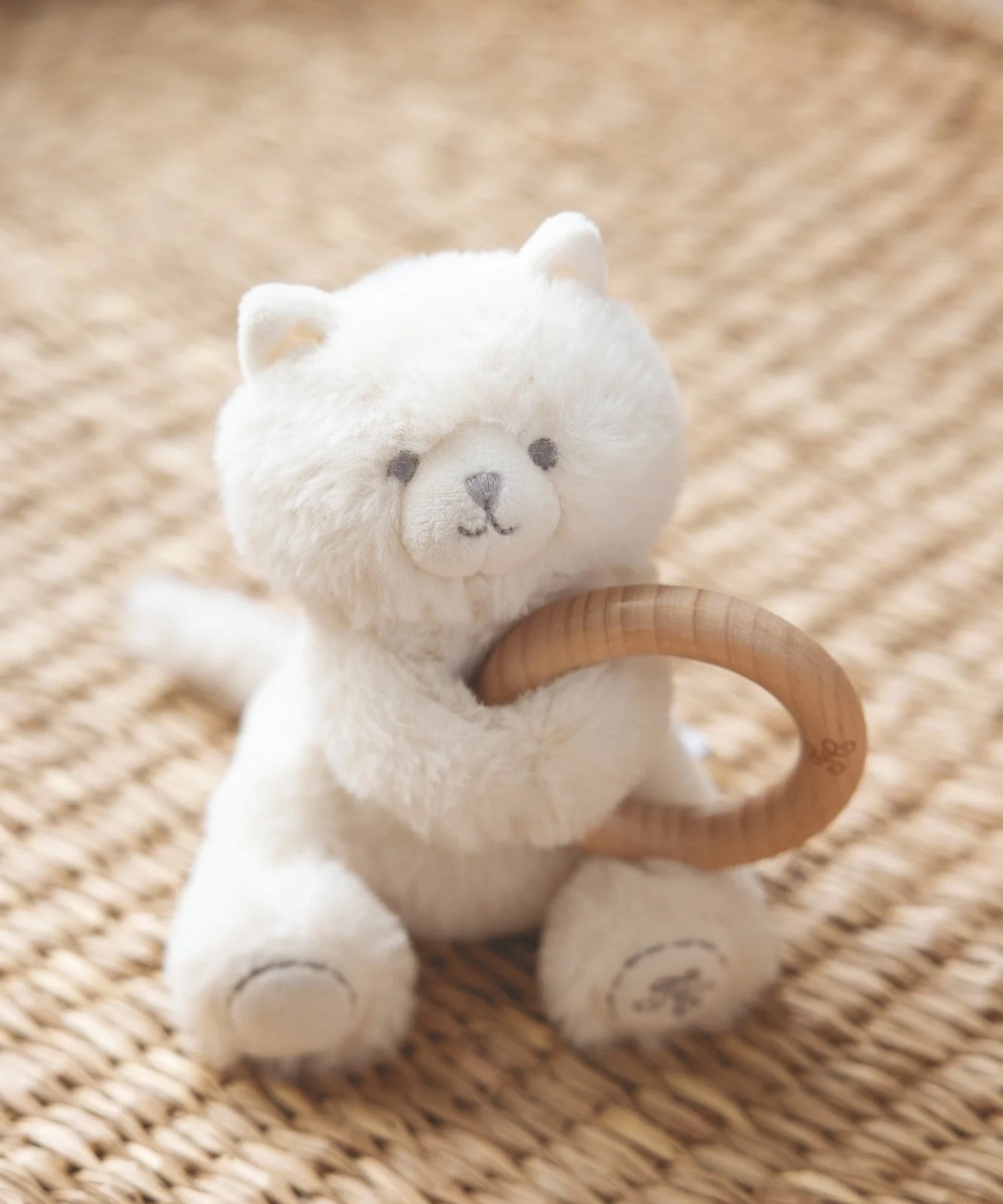 1KBU8AyeM981bONkK5zfhZsSgWLx8yNJA